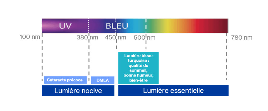 La lumière nocive et essentielle La lumière nocive et essentielle